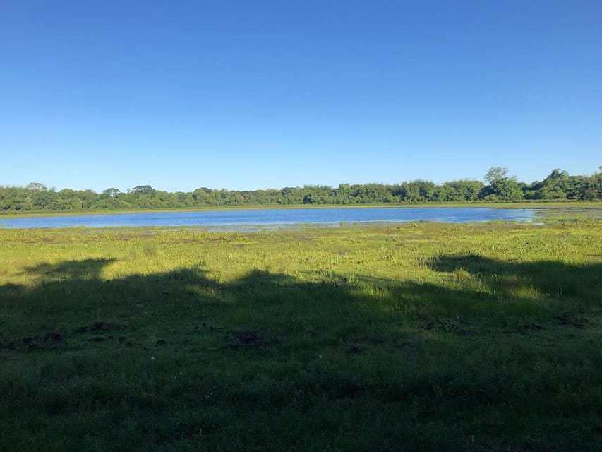 Corrientes: con fines de preservación la reserva yerbalito se incorpora al parque nacional iberá